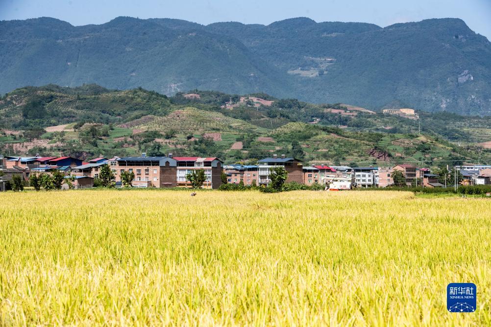 新美高梅手表店